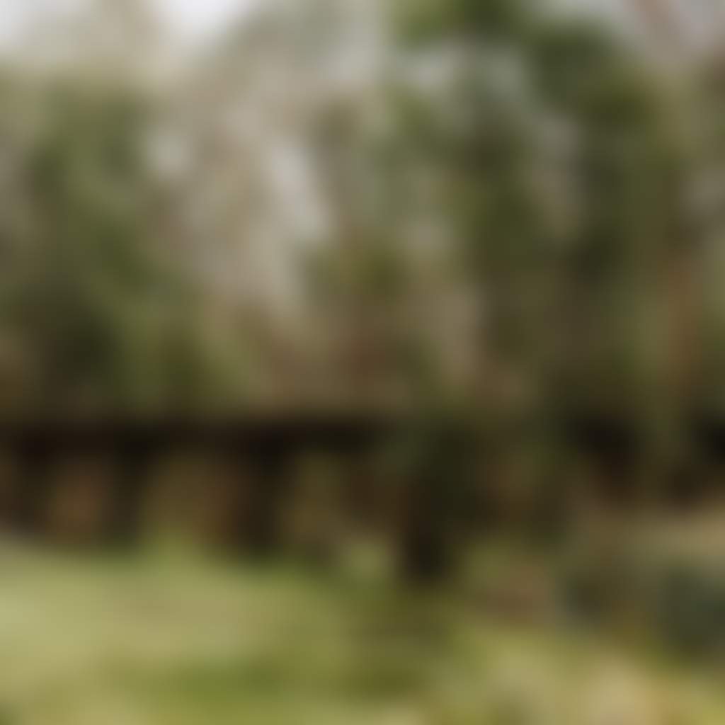 Camels Hump Domino Trail Clair Derwort Photo 56