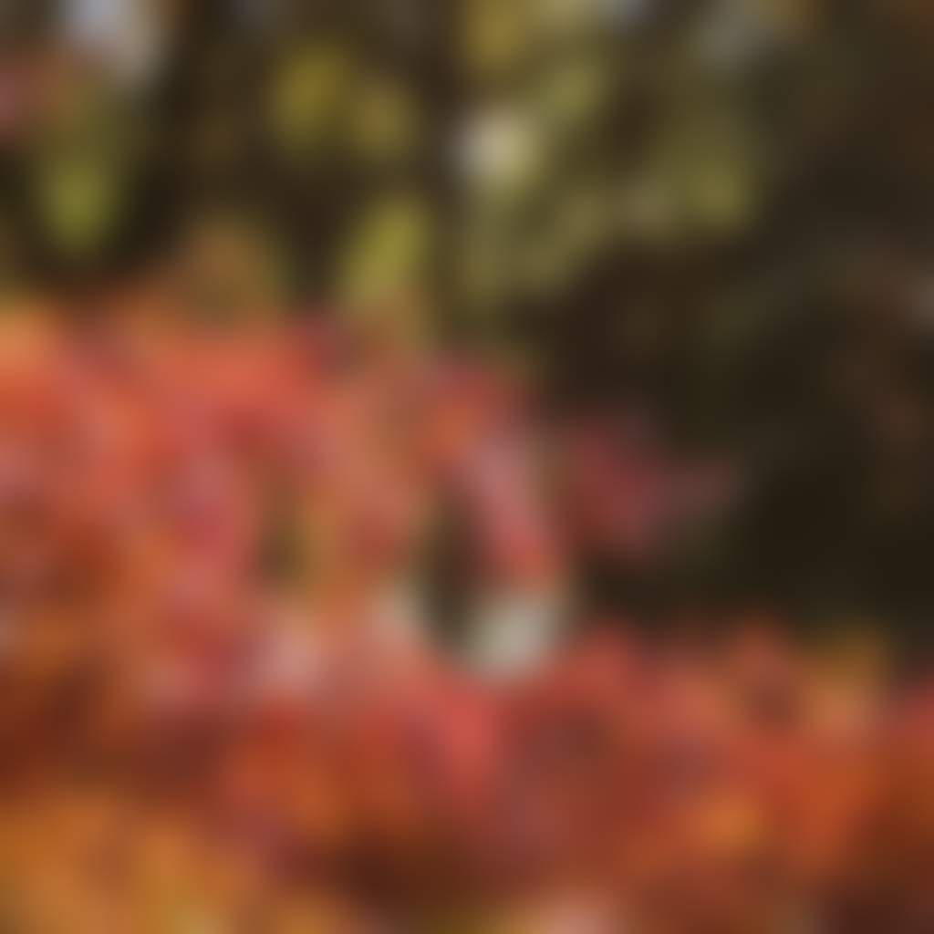 Hepburn Reserve 1 uai 720x360