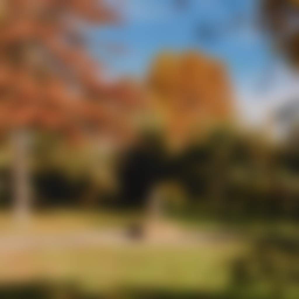 Taradale Chloe Smith Photography 005