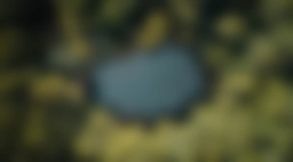 Creswick Lucas Brunt Photos Sanatorium Lake Lake 1