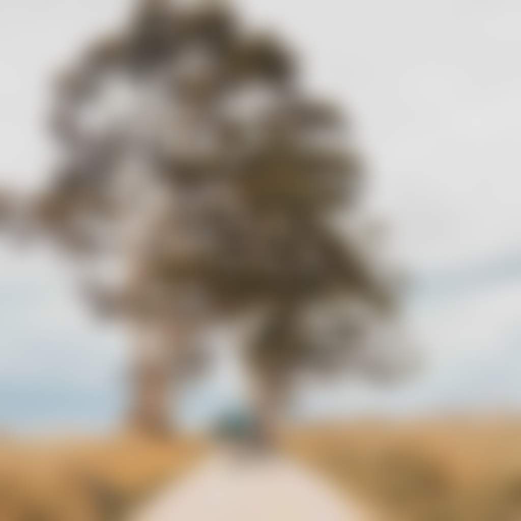 Gravel riding through Musk photo by Bec Rowlands Gravel Bikes 684 musk