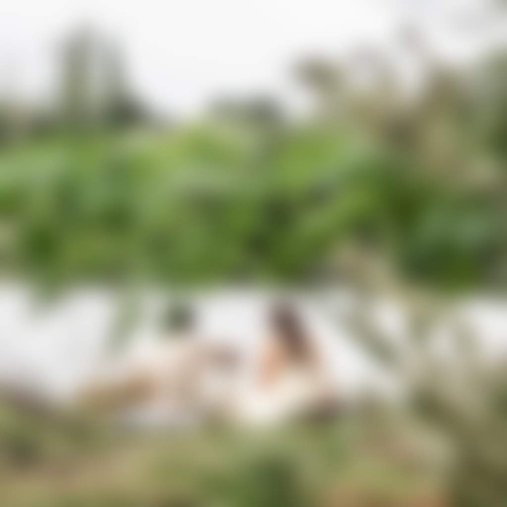 Lake Daylesford Picnic