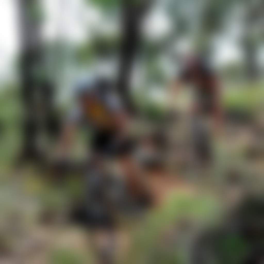 Bikers Mount Alexander Harcourt media jpg compressed