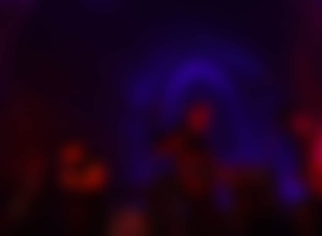 Winter Sounds Festival 2026 WS 15 08 25 Cash Savage EDITED 11