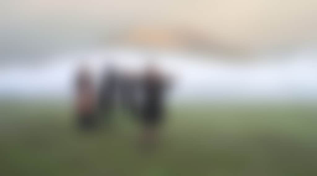 HANGING ROCK MUSICIANS 2