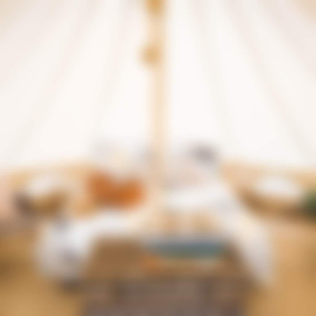 Cosytent inside domb tent 230218 1