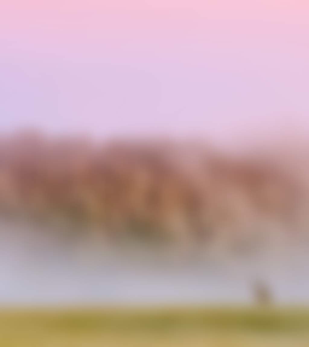 Background hangingrock roos