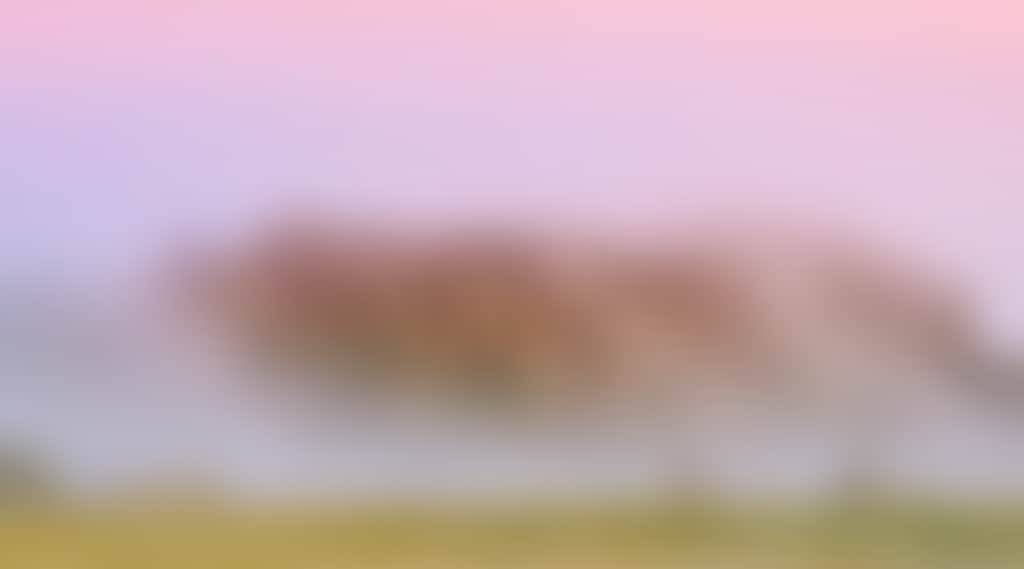 Background hangingrock roos