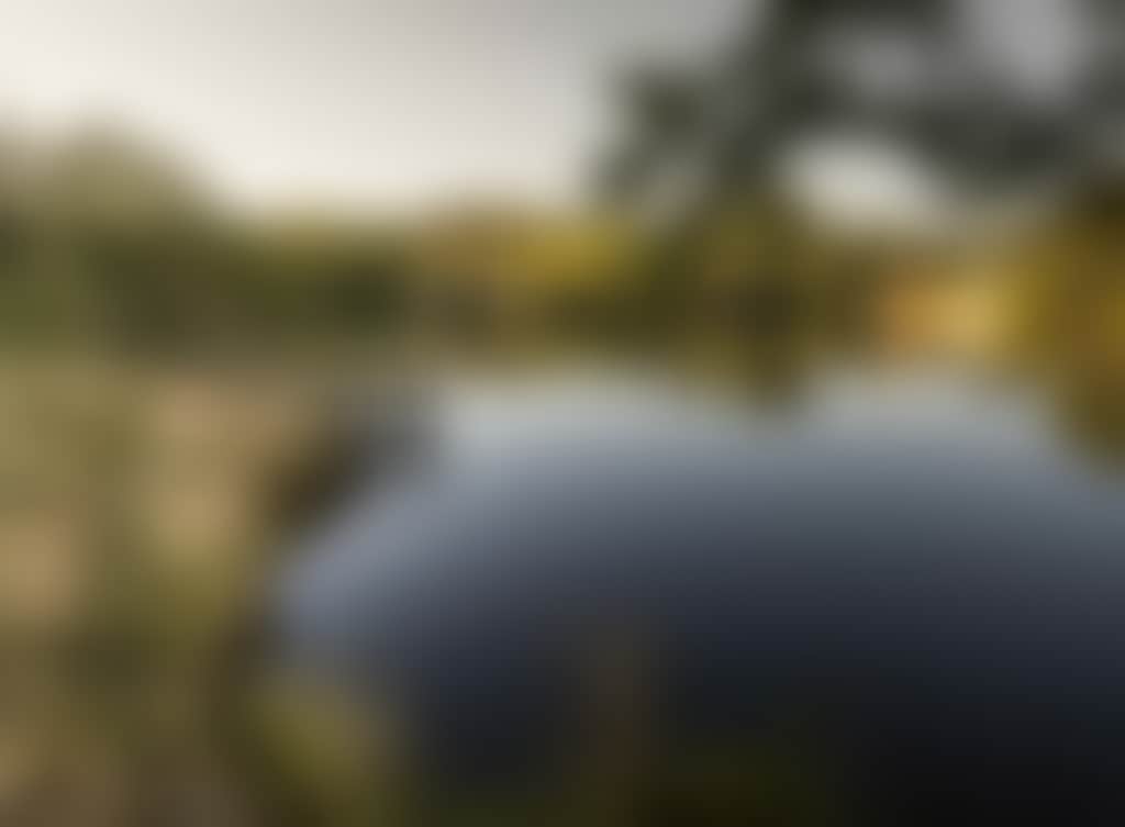 Daylesford Lake Daylesford Nature 1