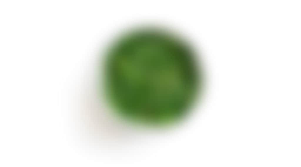 Shutterstock 1525655366 e1657589760538