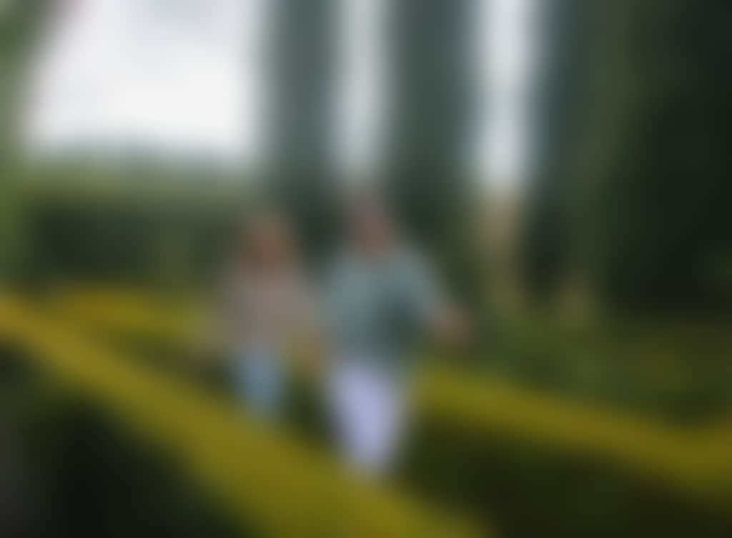 Maze