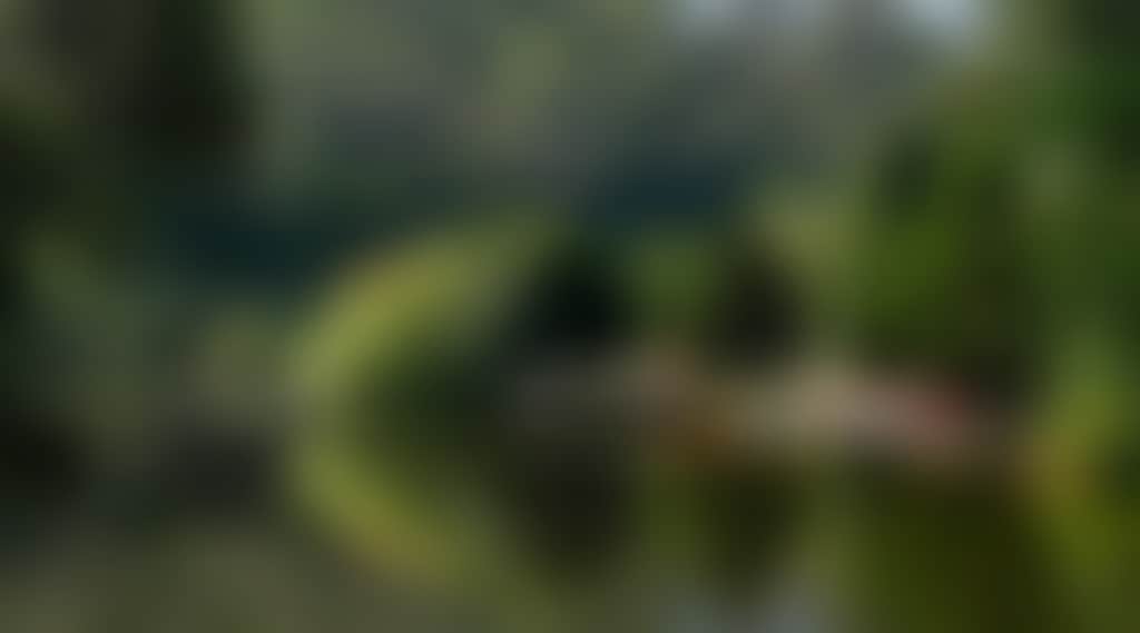 Daylesford Jubilee Lake Nature 1