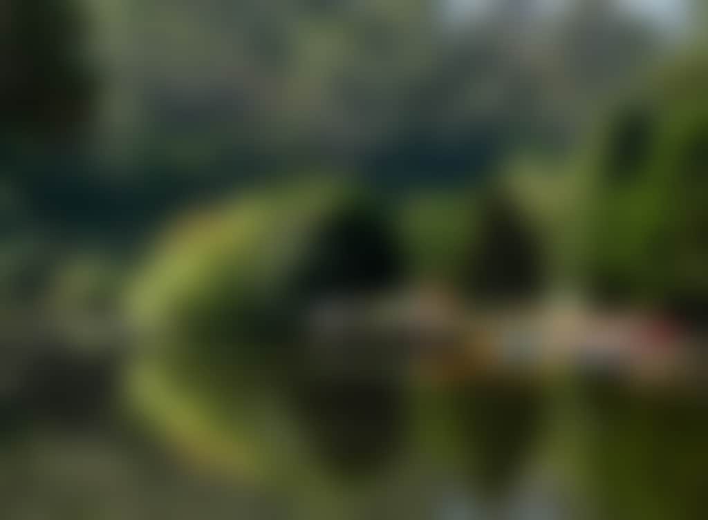 Daylesford Jubilee Lake Nature 1
