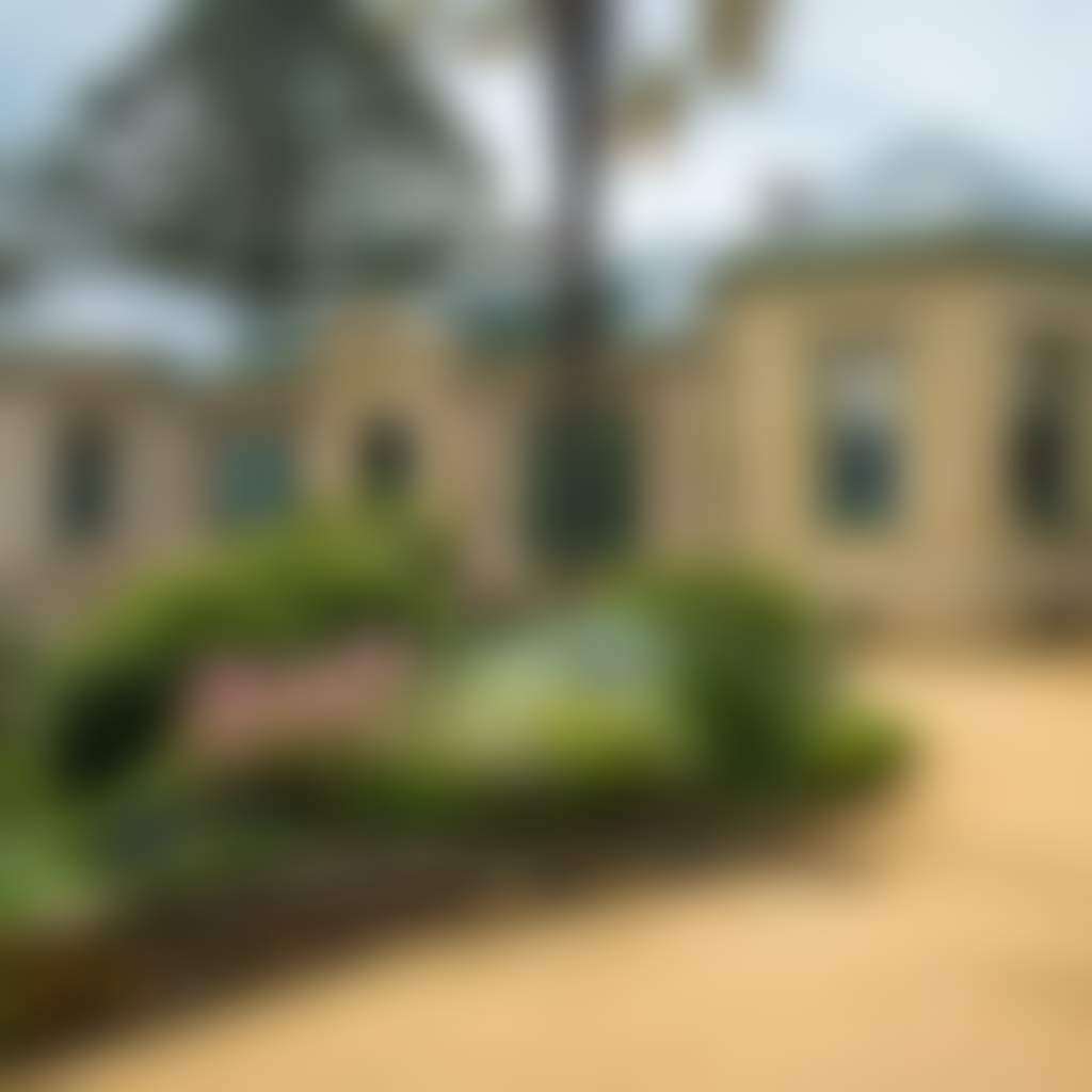 Buda historic Home and Garden 4 uai 1137x853