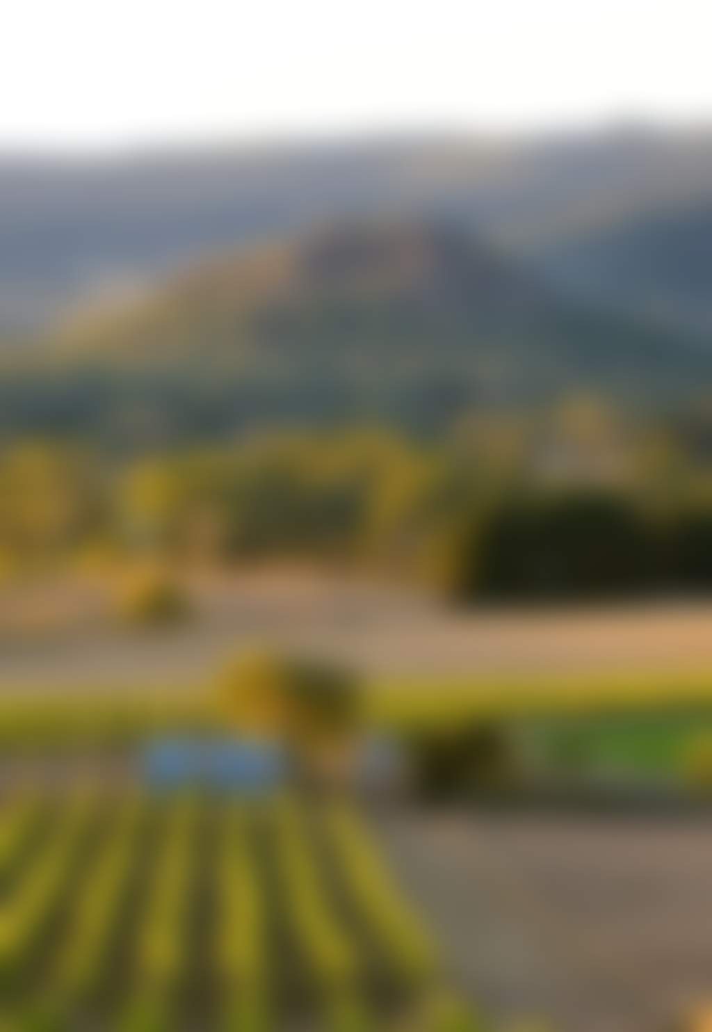 Hanging Rock Winery