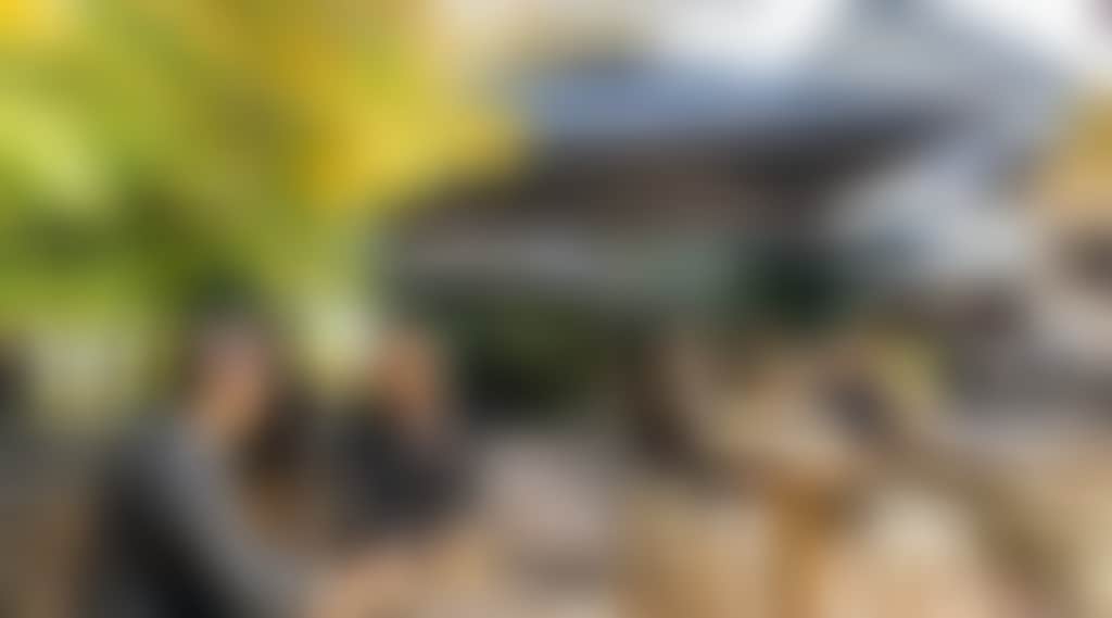 The Cosmopolitan Hotel Trentham Beer Garden 2022 04 23 08824 KGMG