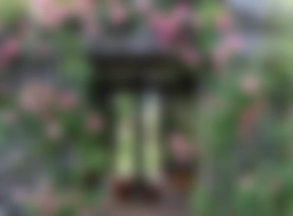 Garden Lovers