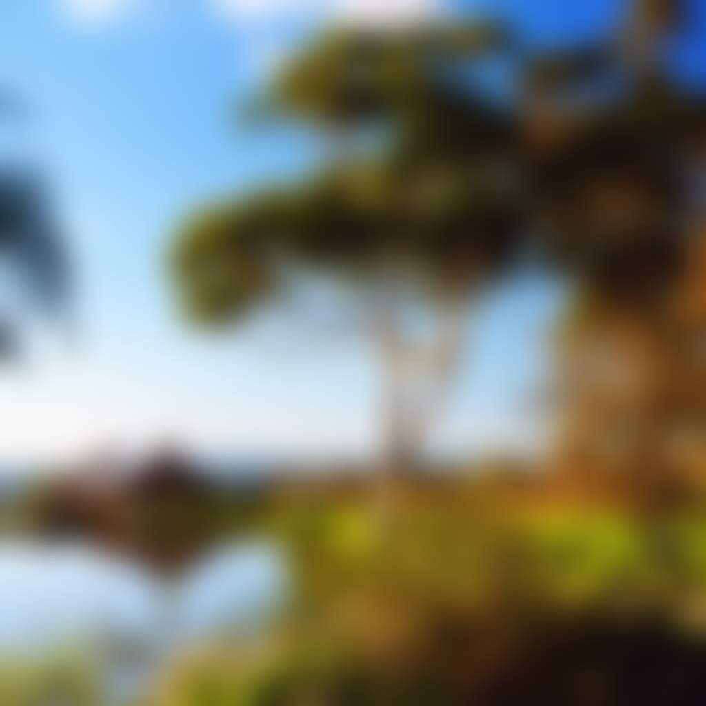 Tuki Smeaton eat and drink accomodation 4