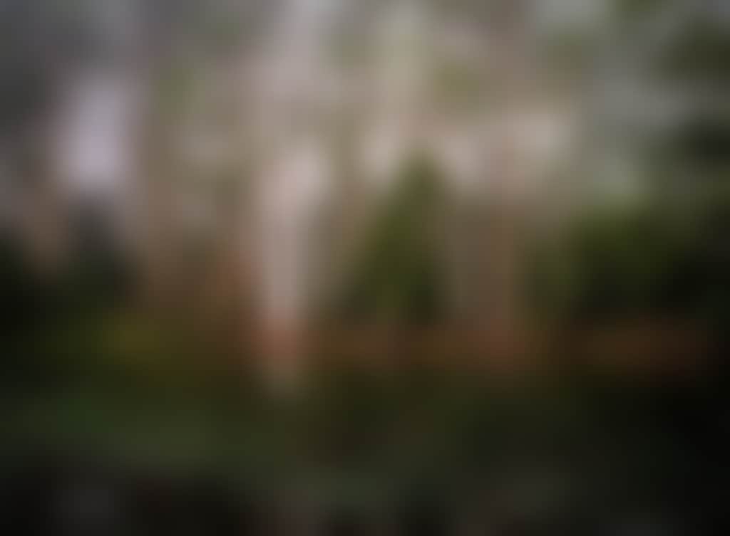 Sanatorium Lake 1