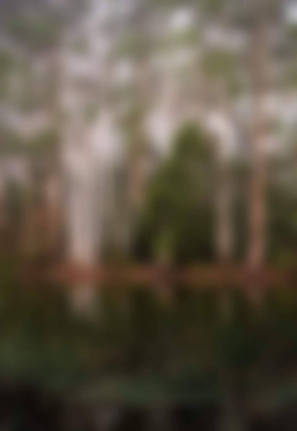 Mount Macedon 1