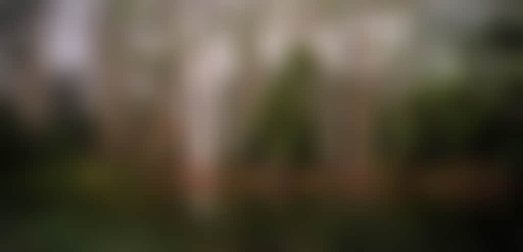 Mount Macedon 1