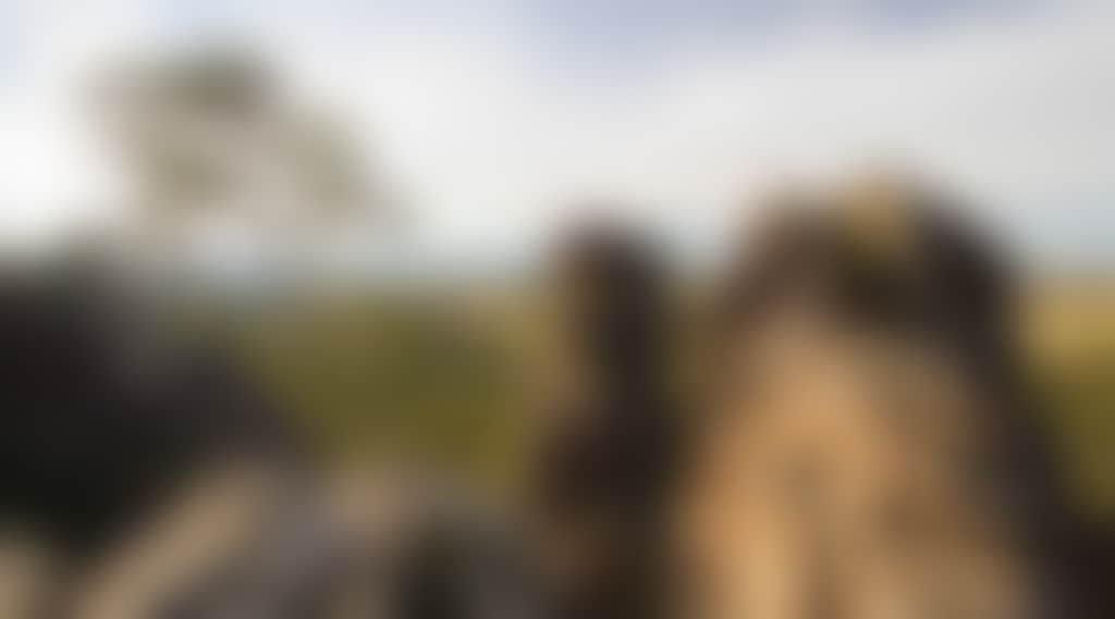 HANGING ROCK Adobe Stock 159329376