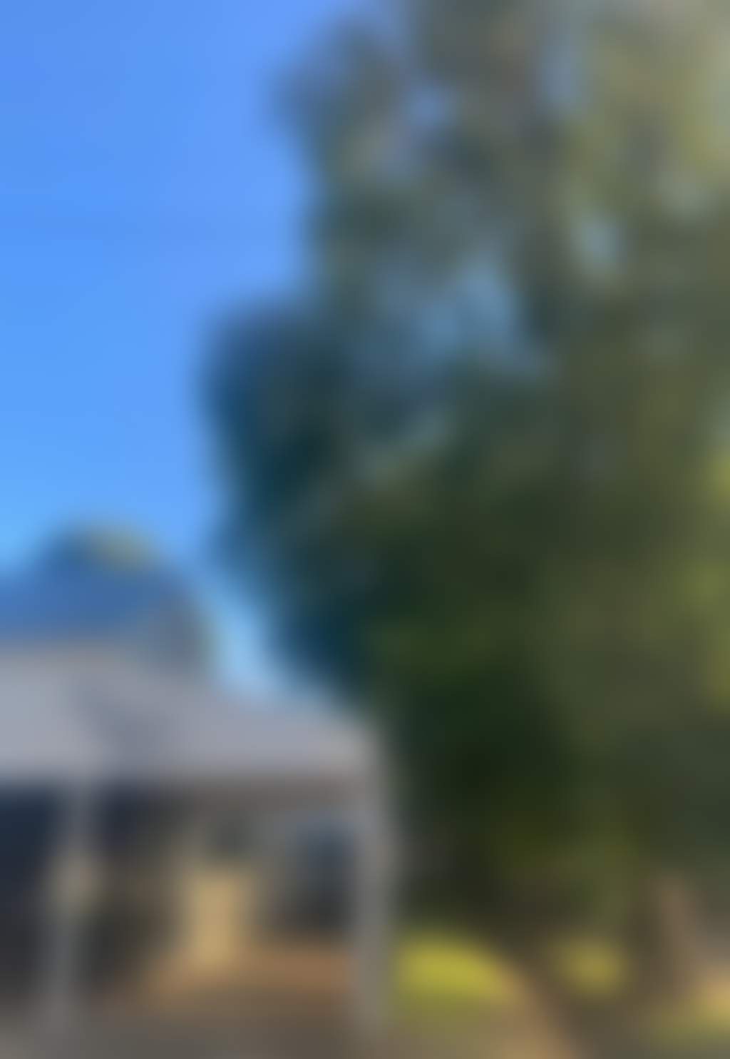 428663067 18421834096031975 4014312730035039658 n
