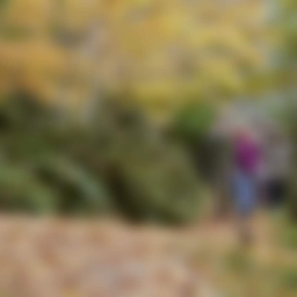 Mount Macedon Tours