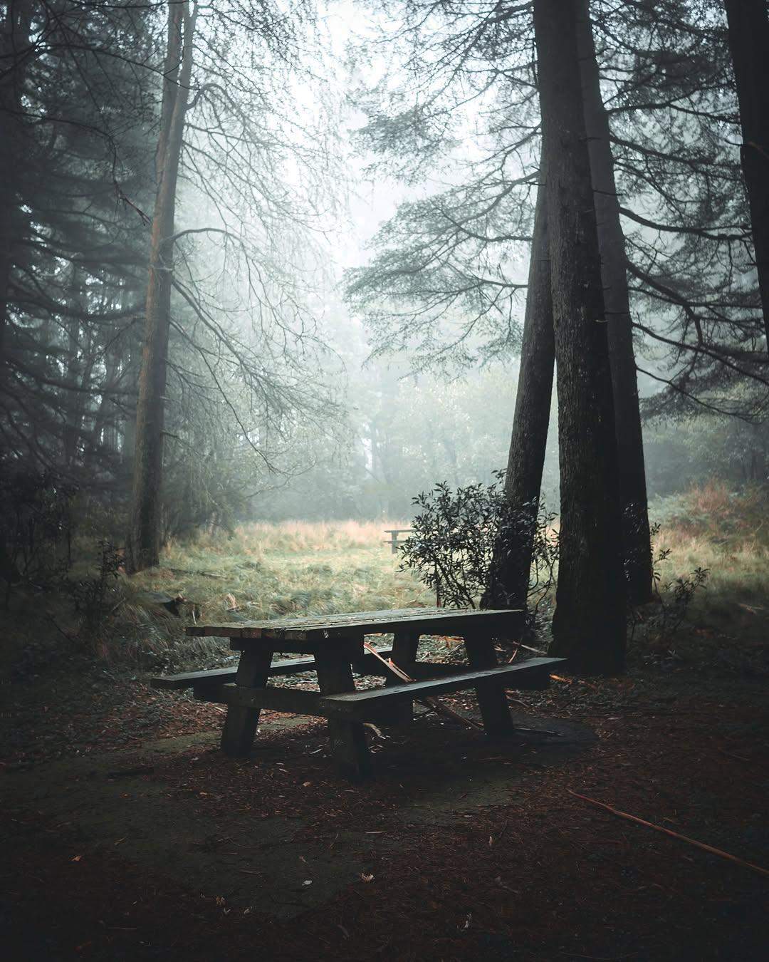 victorias.heartland