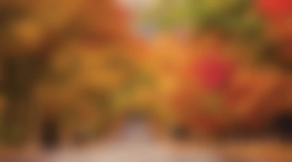 Avenue shutterstock 1057655933 Judah Grubb photo