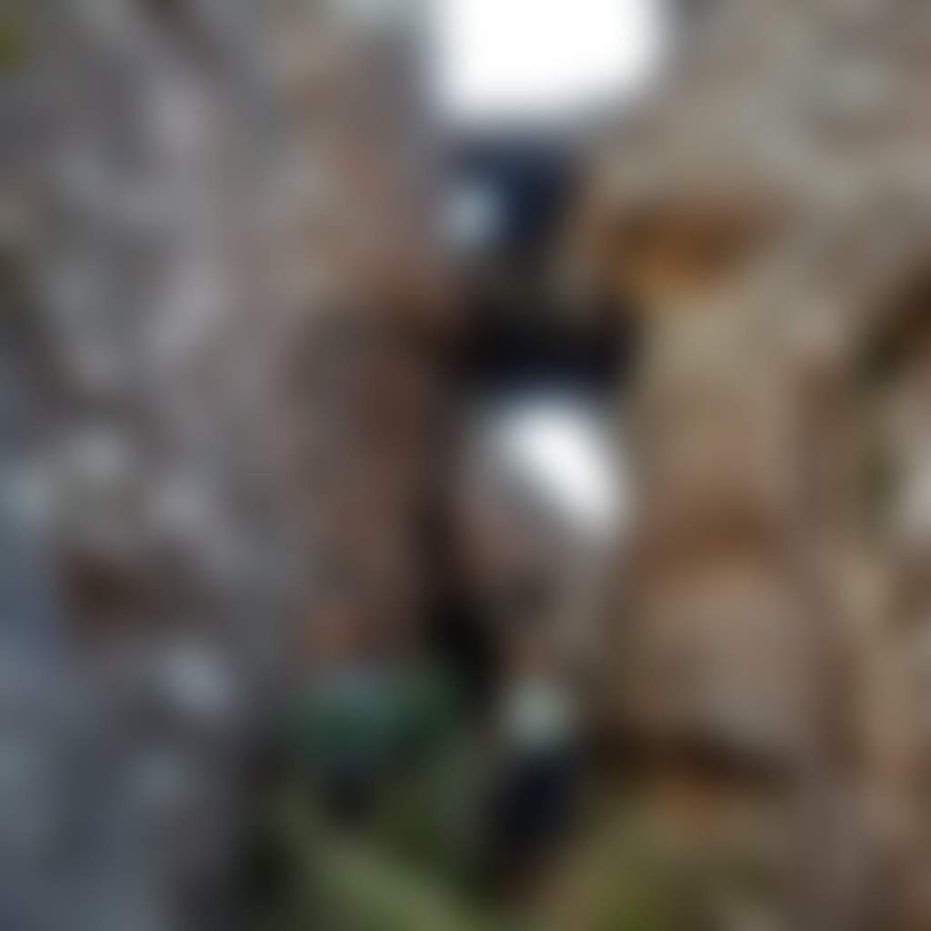 Hanging Rock Ladies Walking 162010 56