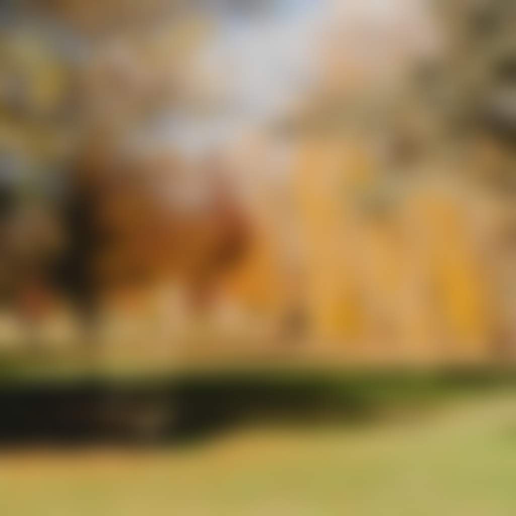 Taradale Chloe Smith Photography 022