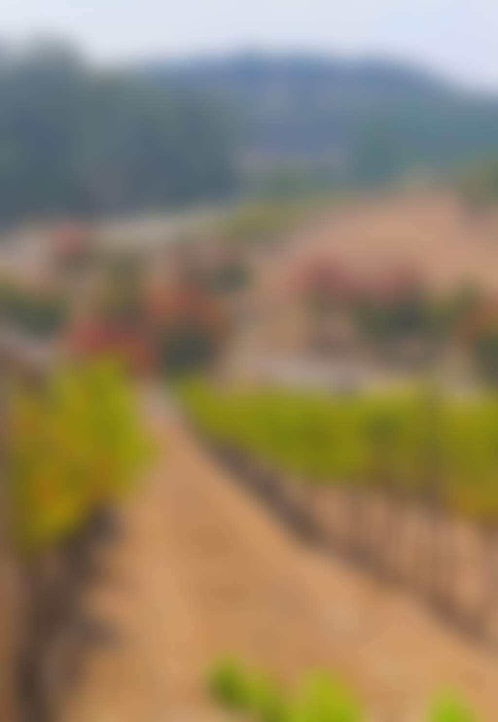 Guildford Winery 2 2