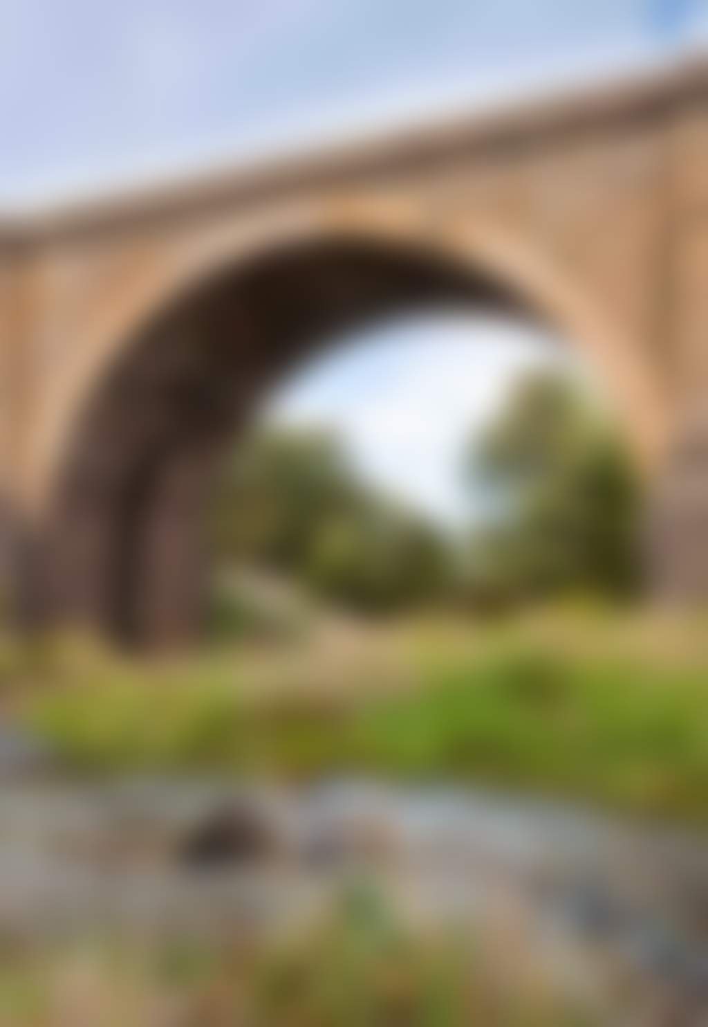 Riddells Creek