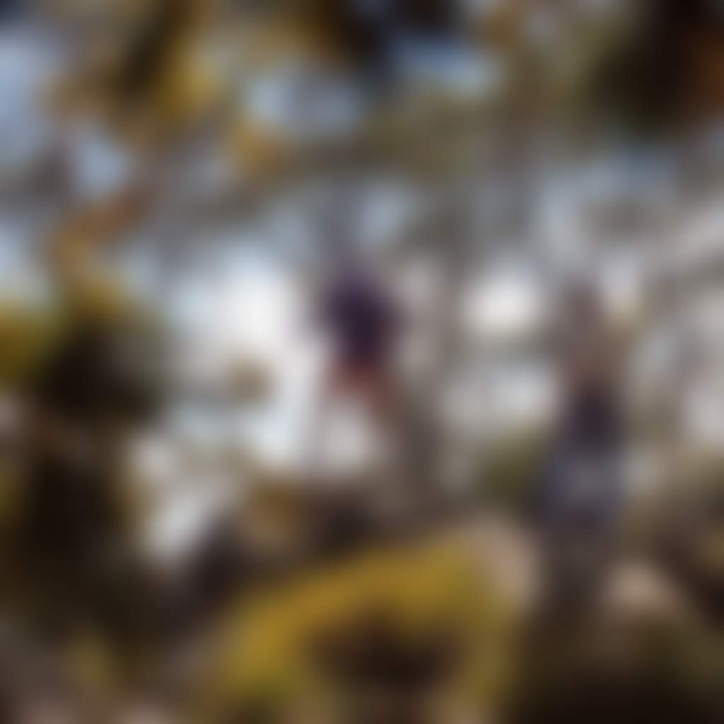 Mt Macedon Nature Camels Hump E Godfrey VV 001jpg