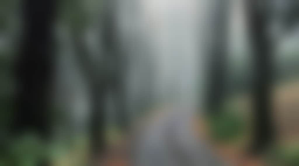 Wombat Hill Botanic Gardens