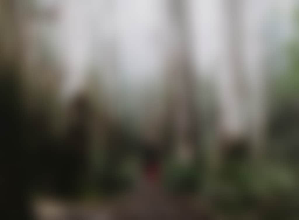 Sanatorium Lake Mt Macedon Credit Visit Macedon Ranges